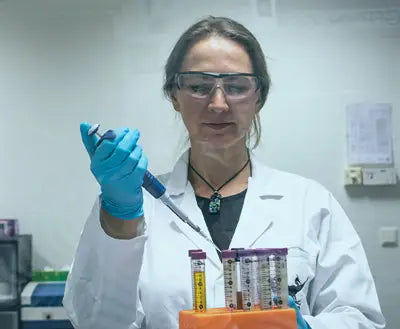 Innovative Forschung